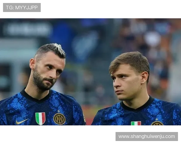 米兰主力前锋S希门尼斯意甲遭遇进球荒射门效率低下亟需调整 米兰主力前锋S希门尼斯意甲遭遇进球荒射门效率低下亟需调整