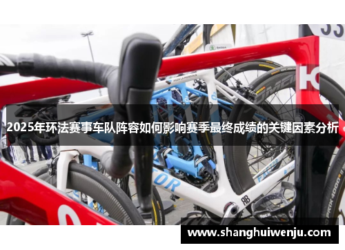 2025年环法赛事车队阵容如何影响赛季最终成绩的关键因素分析