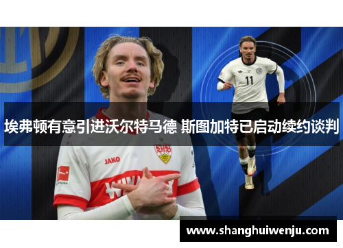 埃弗顿有意引进沃尔特马德 斯图加特已启动续约谈判